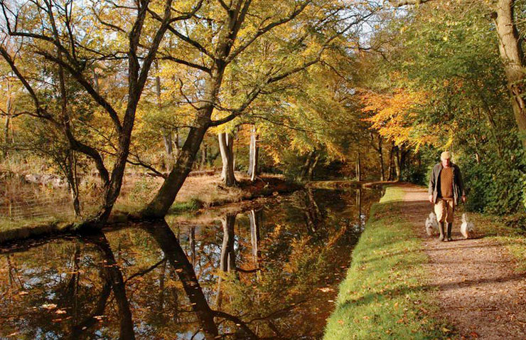 ukautumn