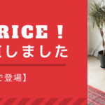【新価格で登場】お値段見直しました!-英国ヴィンテージ家具店『BRITISH Vintage＋』