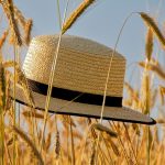 Cap Straw Hat Summer Grain Spike  - NickyPe / Pixabay