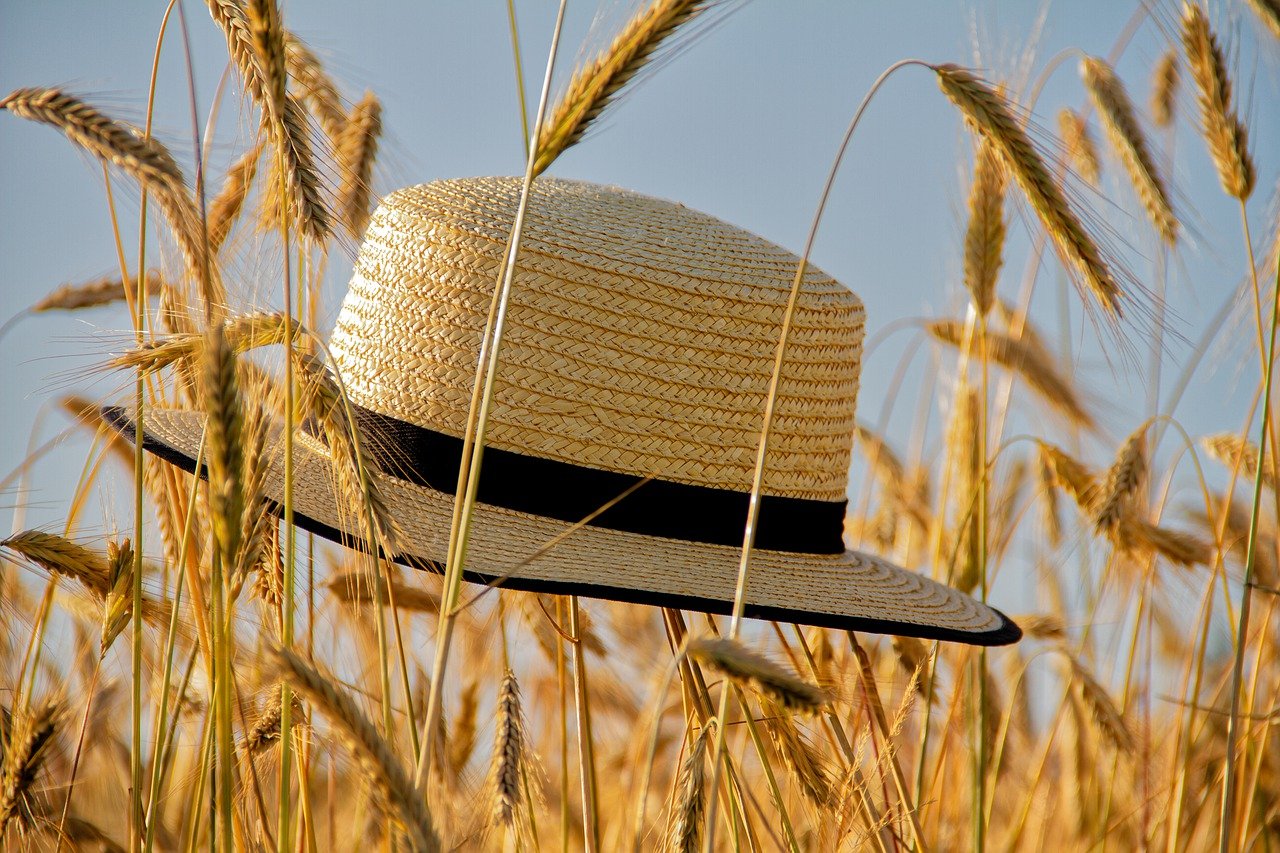 Cap Straw Hat Summer Grain Spike  - NickyPe / Pixabay