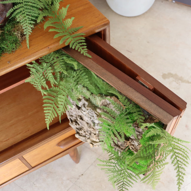 Vintage British mid-century teak G-Plan sideboard drawer open showing wood grain and smooth finish, with green fern decor.