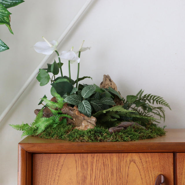 Mid-century British G-PLAN sideboard in teak with smooth wood grain and rounded edges, topped with greenery.