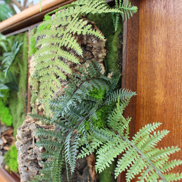 Vintage teak sideboard corner with rich wood grain and smooth mid-century British design details near green ferns.