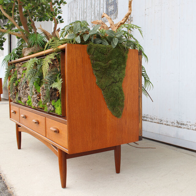 Vintage teak British mid-century sideboard by G-PLAN with rich wood grain, tapered legs, and integrated planter box filled.