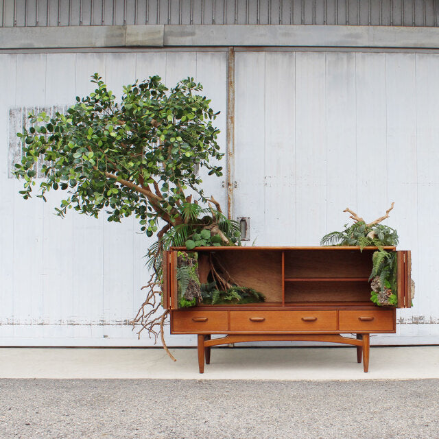 Vintage British mid-century teak G-PLAN sideboard with rich wood grain, tapered legs, and open shelving flanked by plants.