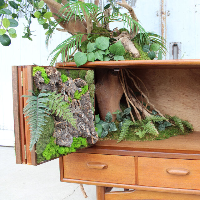 Vintage teak G-Plan sideboard door open revealing natural bark and greenery detail, mid-century British design with clean.