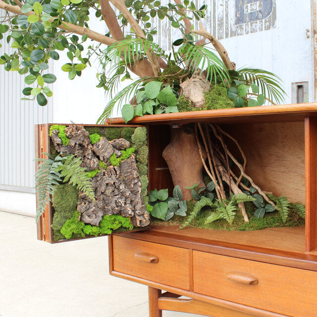 Vintage British mid-century teak sideboard by G-Plan with rich wood grain, tapered legs, open cabinet, and lush greenery.