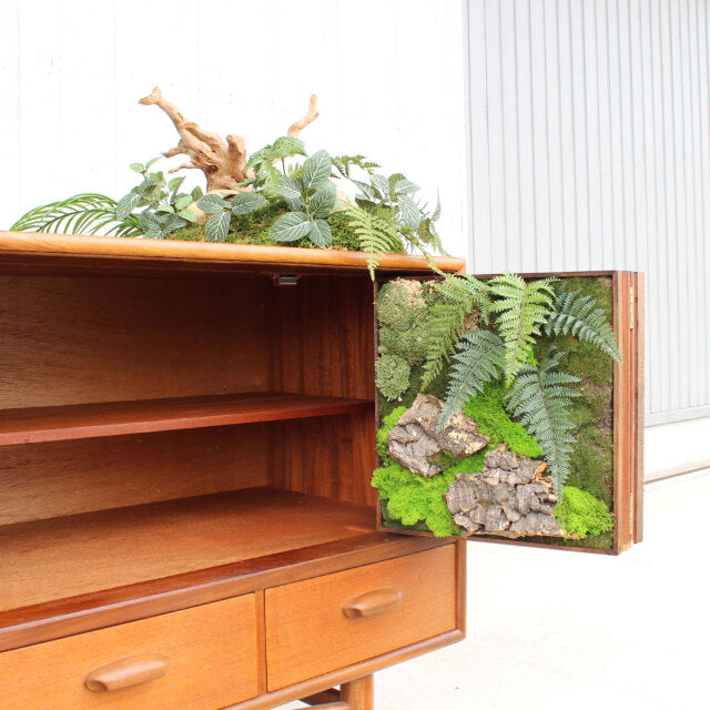 Vintage teak G-Plan sideboard with mid-century British design, open door shows wood grain and green banyan panel with.
