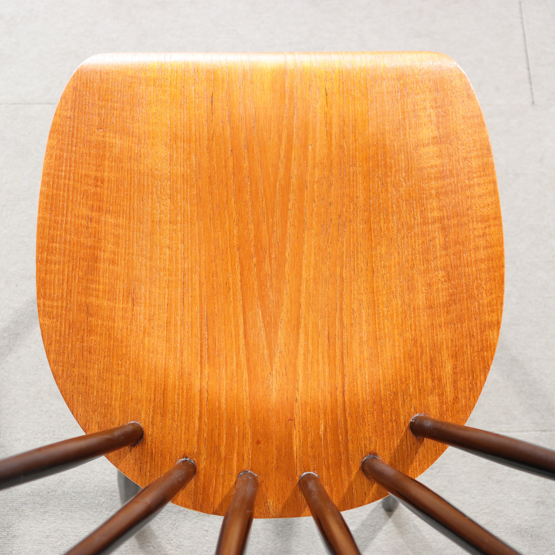 【comingsoon!】 SCANDI BEECH CHAIR ItemCode-DAWN59b