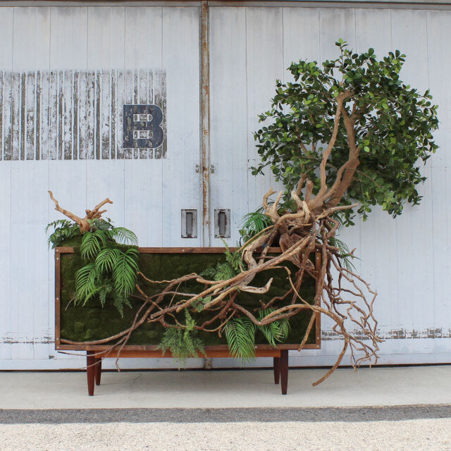 Vintage mid-century teak G-Plan sideboard with clean lines, slender legs, and rich wood grain from British Denmark era,.