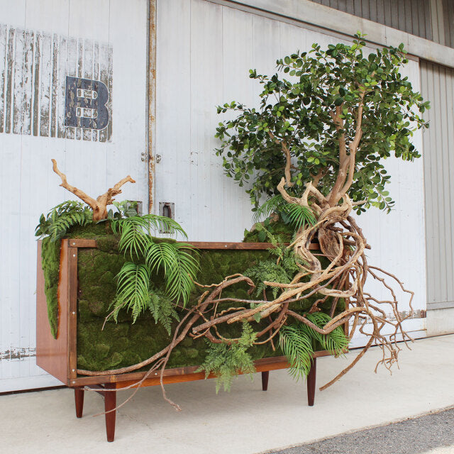 Vintage teak G-Plan sideboard with mid-century British design, rich wood grain, tapered legs, and banyan-inspired greenery.