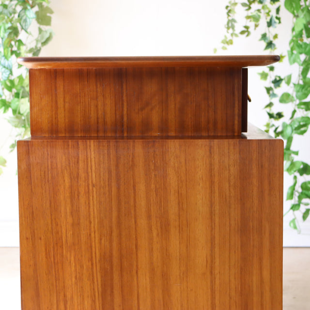Vintage British mid-century teak G-Plan sideboard with smooth wood grain and clean, rectangular form against leafy backdrop.