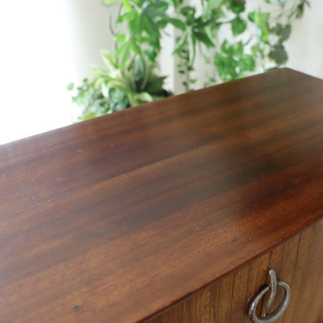 Mid-century vintage British teak room divider with rich wood grain and iron legs, Danish design influence.