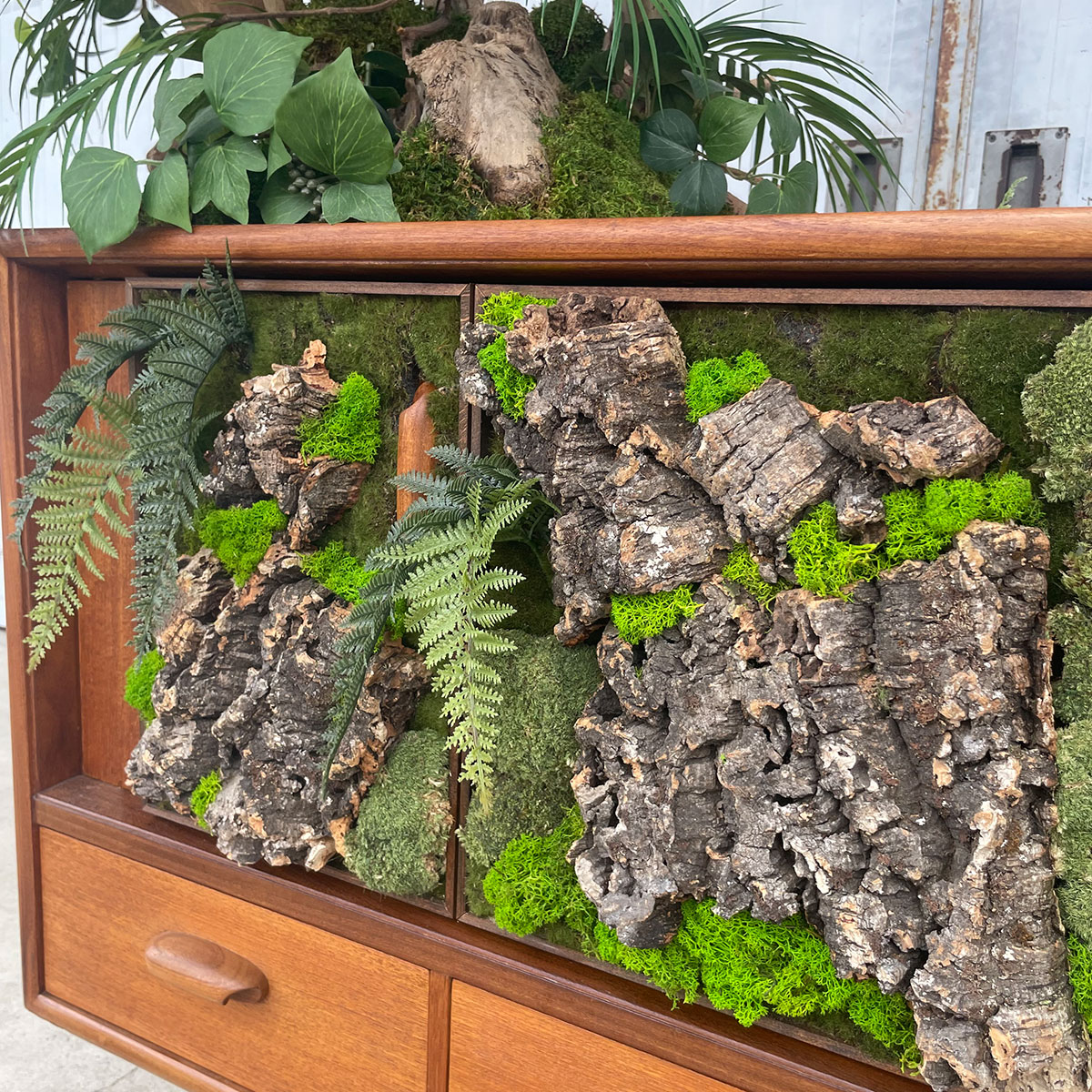 ヴィンテージ家具とガジュマル